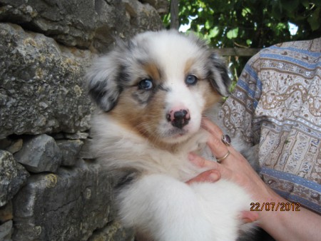 Hatchi mon frère